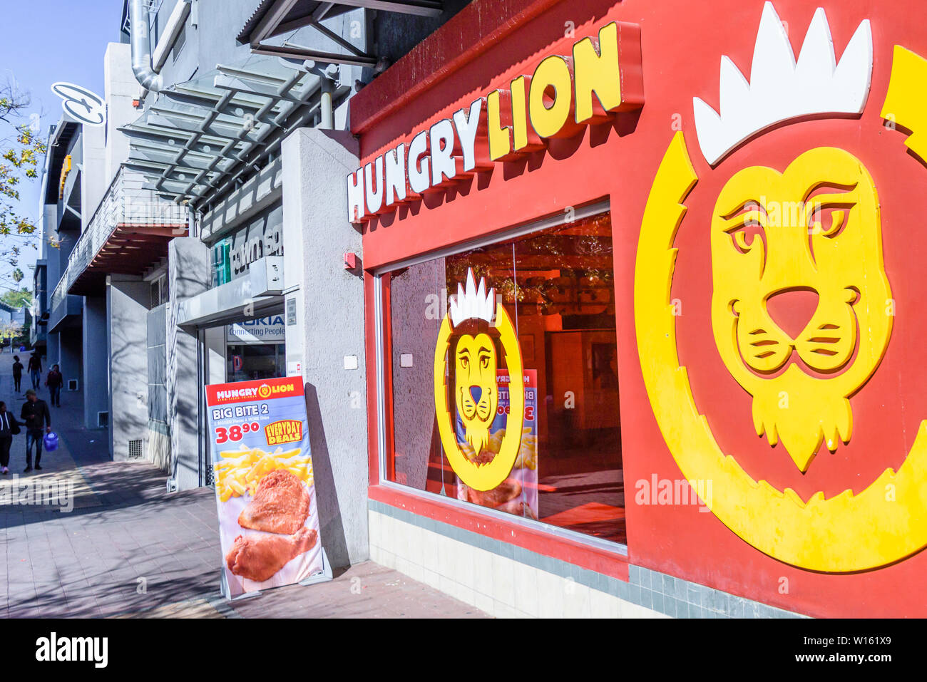 LION13