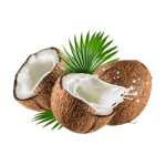 img 4.png